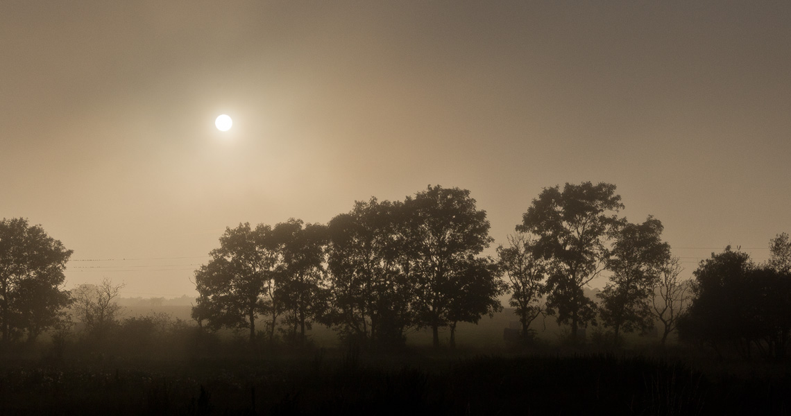 Chronologie Foto- und Reiseblogs