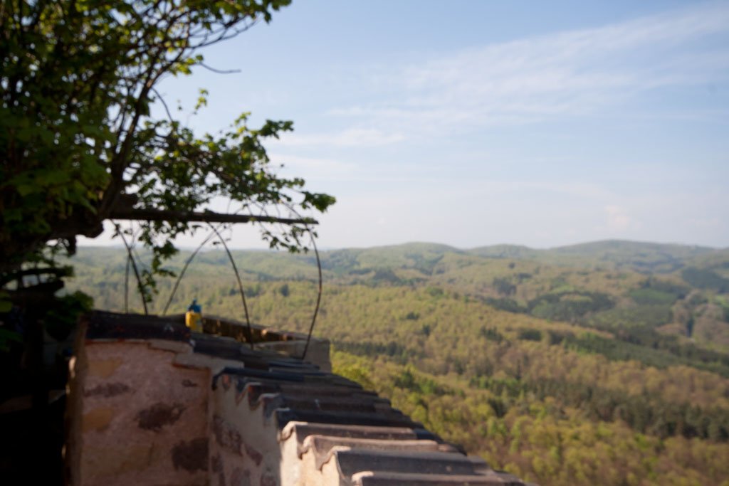 Auf der Wartburg