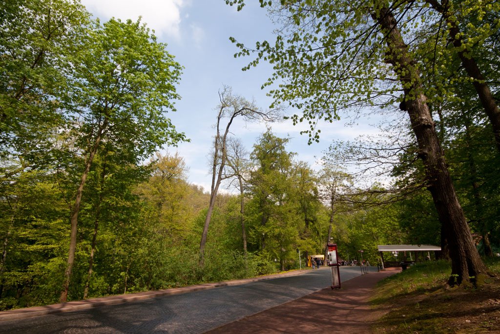 Auf der Wartburg