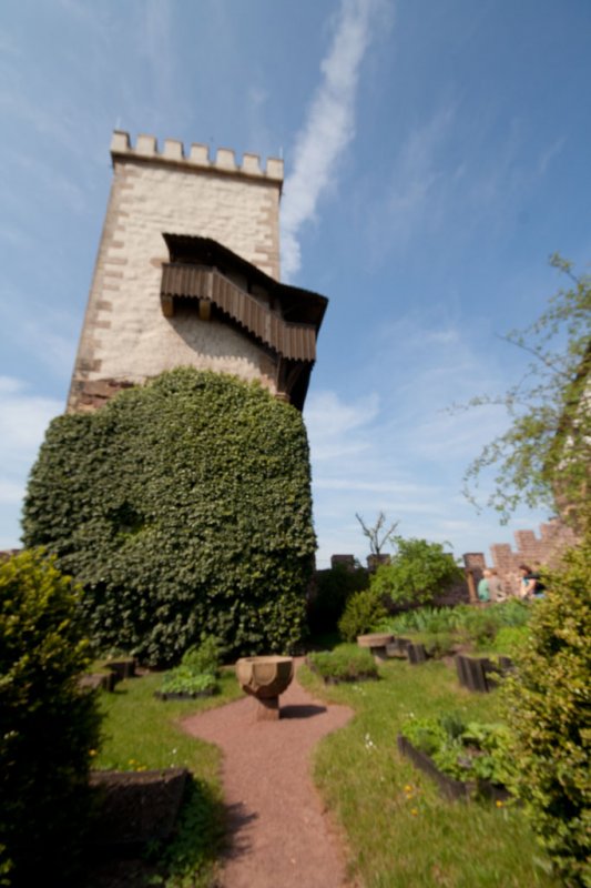 Auf der Wartburg