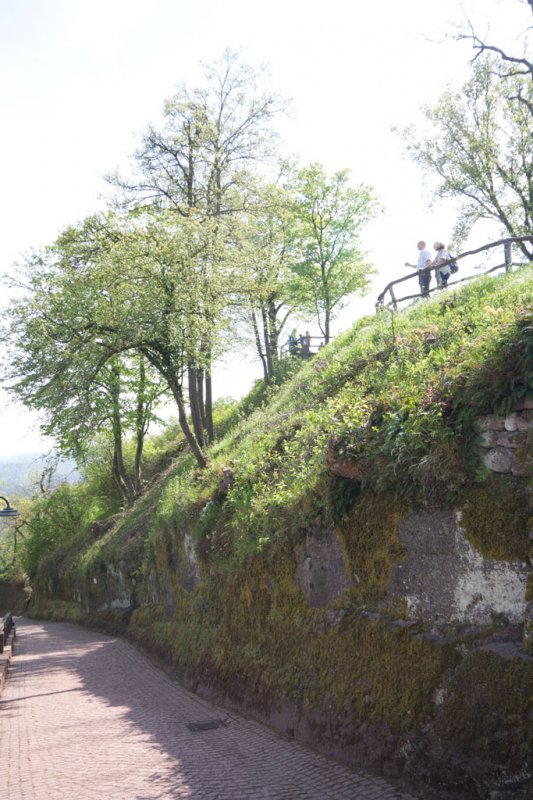 Auf der Wartburg