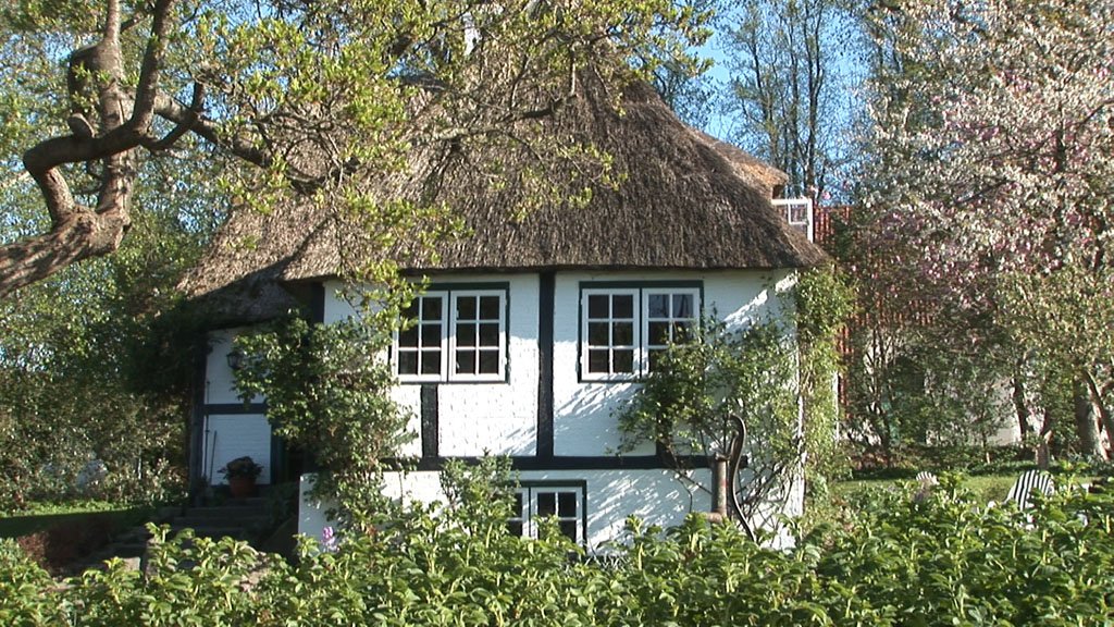Schlei-Impressionen