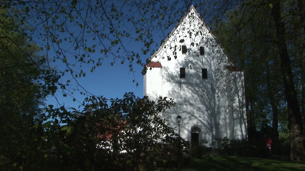 Schlei-Impressionen