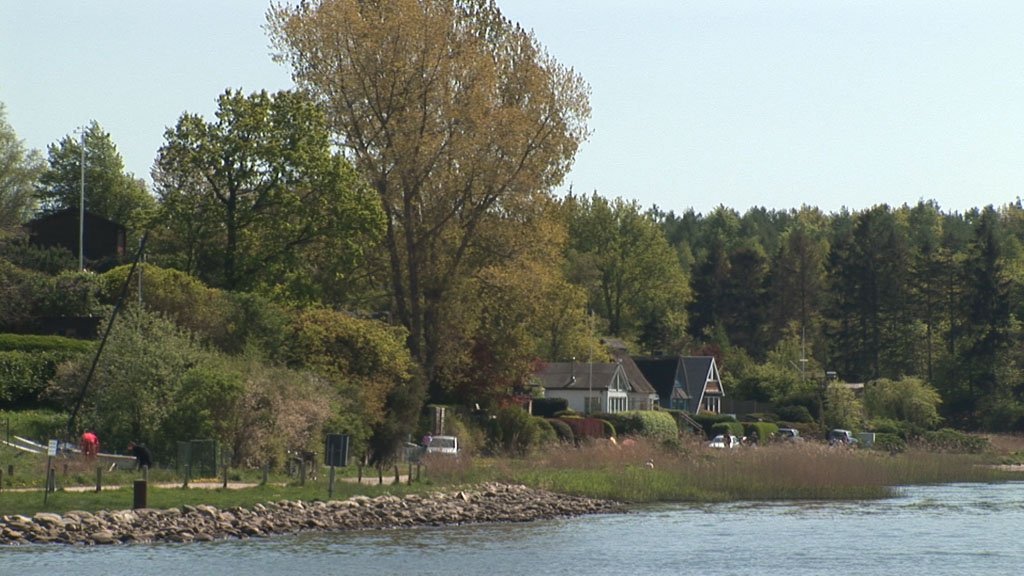 Schlei-Impressionen