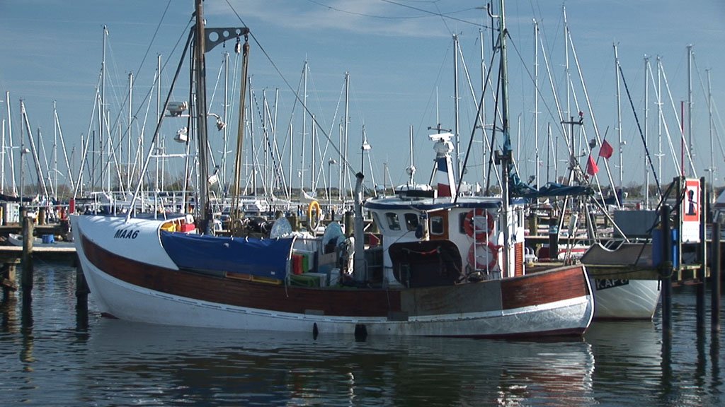 Schlei-Impressionen